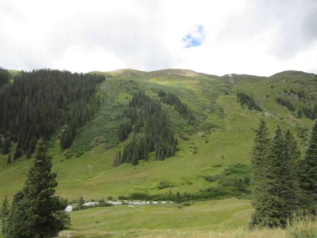 IMG_4372.JPG